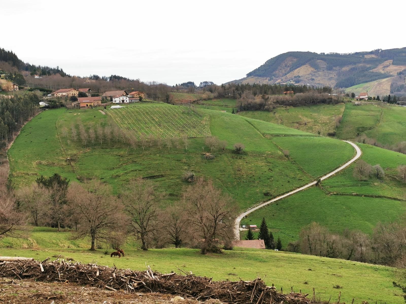 Vista del valle desde la ruta, con caseríos, un prado con caballos y una pista serpenteando entre los montes